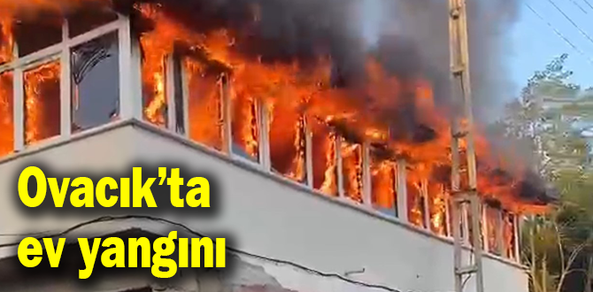 Ovacık’ta yangın